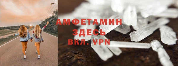 гашик Няндома
